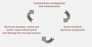 Fast Tract Diet Q&A about Specific Carbohydrate Diet