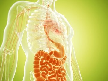 Crohn's Disease and Diet by Norm Robillard, Ph.D.