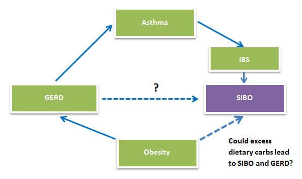 GERD, Asthma, IBS, Obesity and SIBO connection - "What Really Causes Acid Reflux and GERD?" by Norm Robillard, Ph.D.