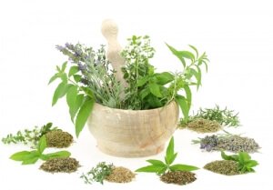 Fast Tract Diet Q&A - Fermentation Potential (FP) for Herbs