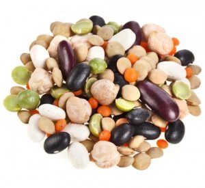 Fast Tract Diet Q&A for SIBO - Gut Microbes Feed or impede? 