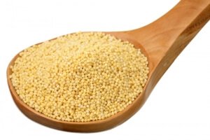 Fast Tract Diet for SIBO Q&A - Millet and Symptom Potential (FP)
