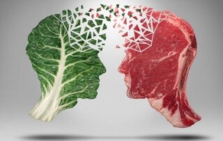 Diet over Drugs - 3 Step Plan for IBS, Diarrhea, Constipation by Norm Robillard, Ph.D.