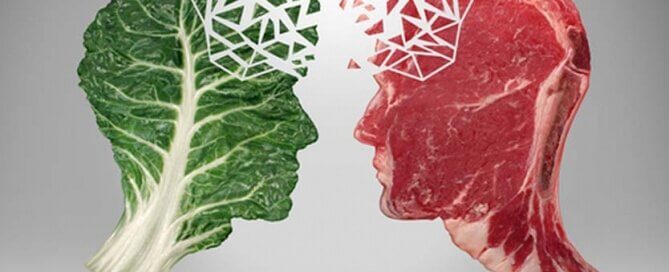 Diet over Drugs - 3 Step Plan for IBS, Diarrhea, Constipation by Norm Robillard, Ph.D.