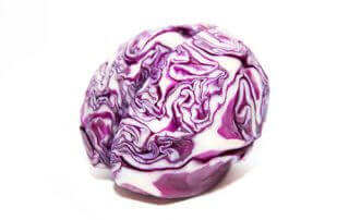 Are SIBO Patients At Higher Risk of Parkinson's Disease?