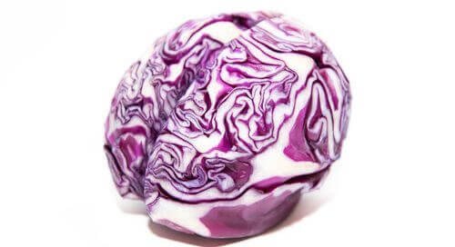 Are SIBO Patients At Higher Risk of Parkinson's Disease?