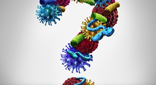 Myths on SIBO Treatment