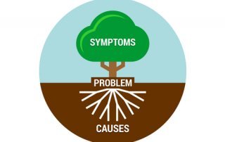 Consultation with Dr. Norm - Success Through Understanding Root Cause