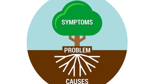 Consultation with Dr. Norm - Success Through Understanding Root Cause