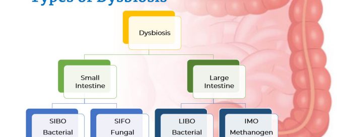 Gut Dysbiosis by Dr. Norm