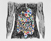 Are PPIs a Risk Factor for SIBO?